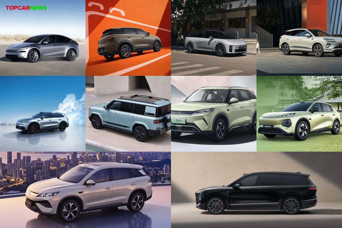 China's Top 10 NEV SUVs in May: Model Y Extends Lead, Leapmotor A10 Surges to No.2