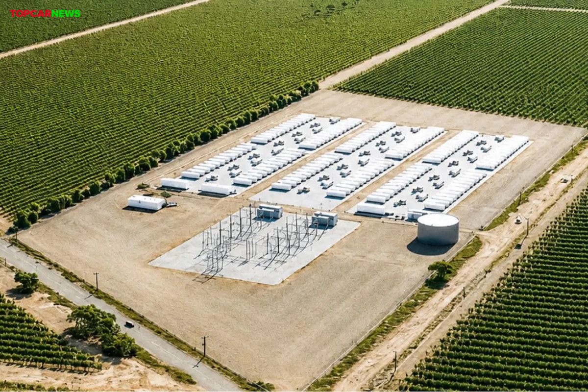 Firmus Secures 600 MW Energy Supply Agreement in South Australia, Linked to 1.2 GW of New Renewable Generation & Battery Storage