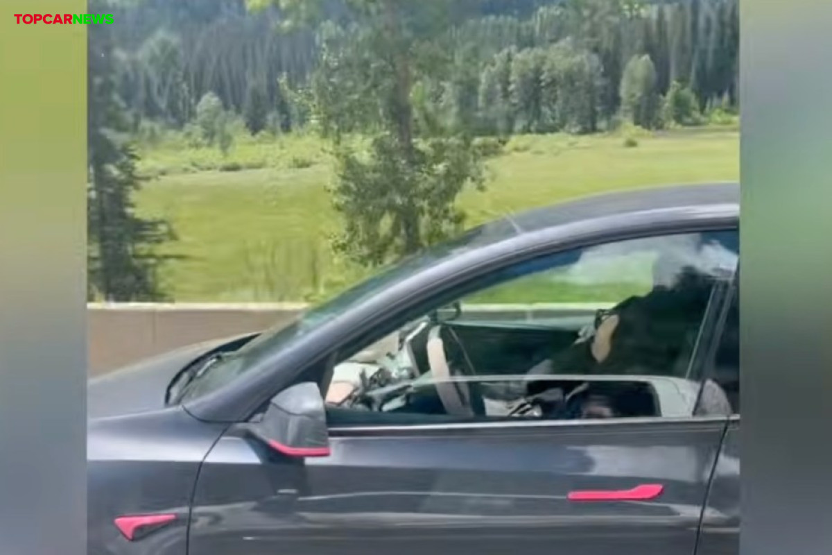 Tesla driver caught asleep at 100 km/h — how monitoring failed
