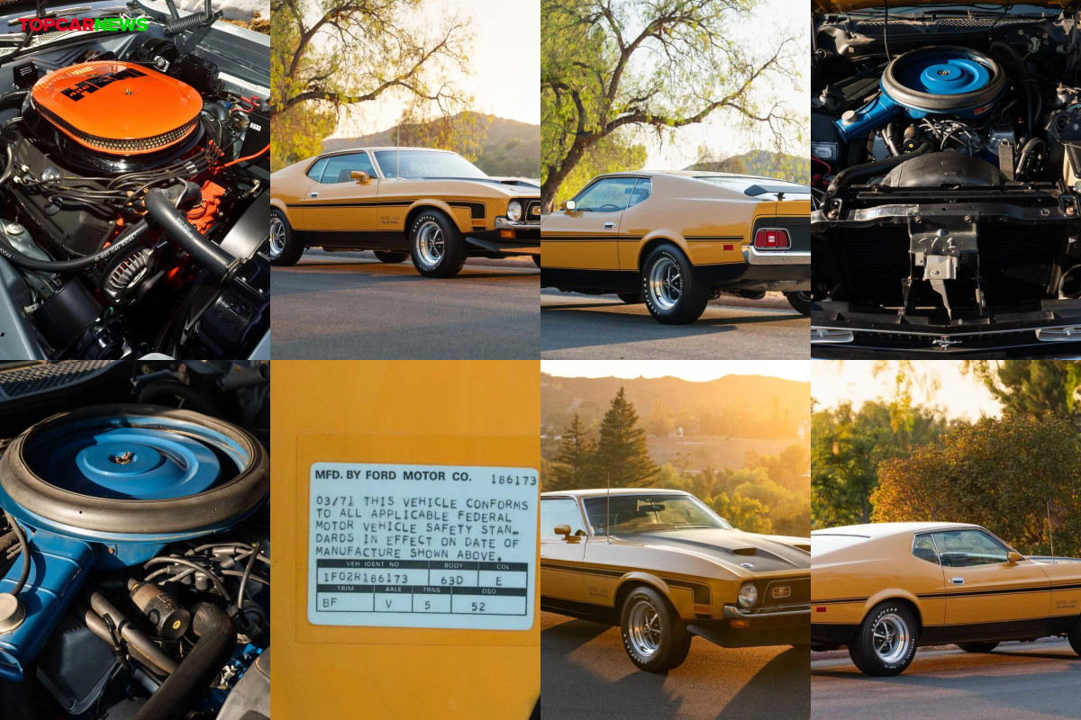 The performance car built right before everything changed