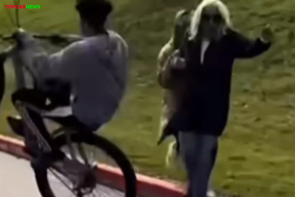 Bike Rider Fakes Hitting Pedestrians While Doing Wheelies: