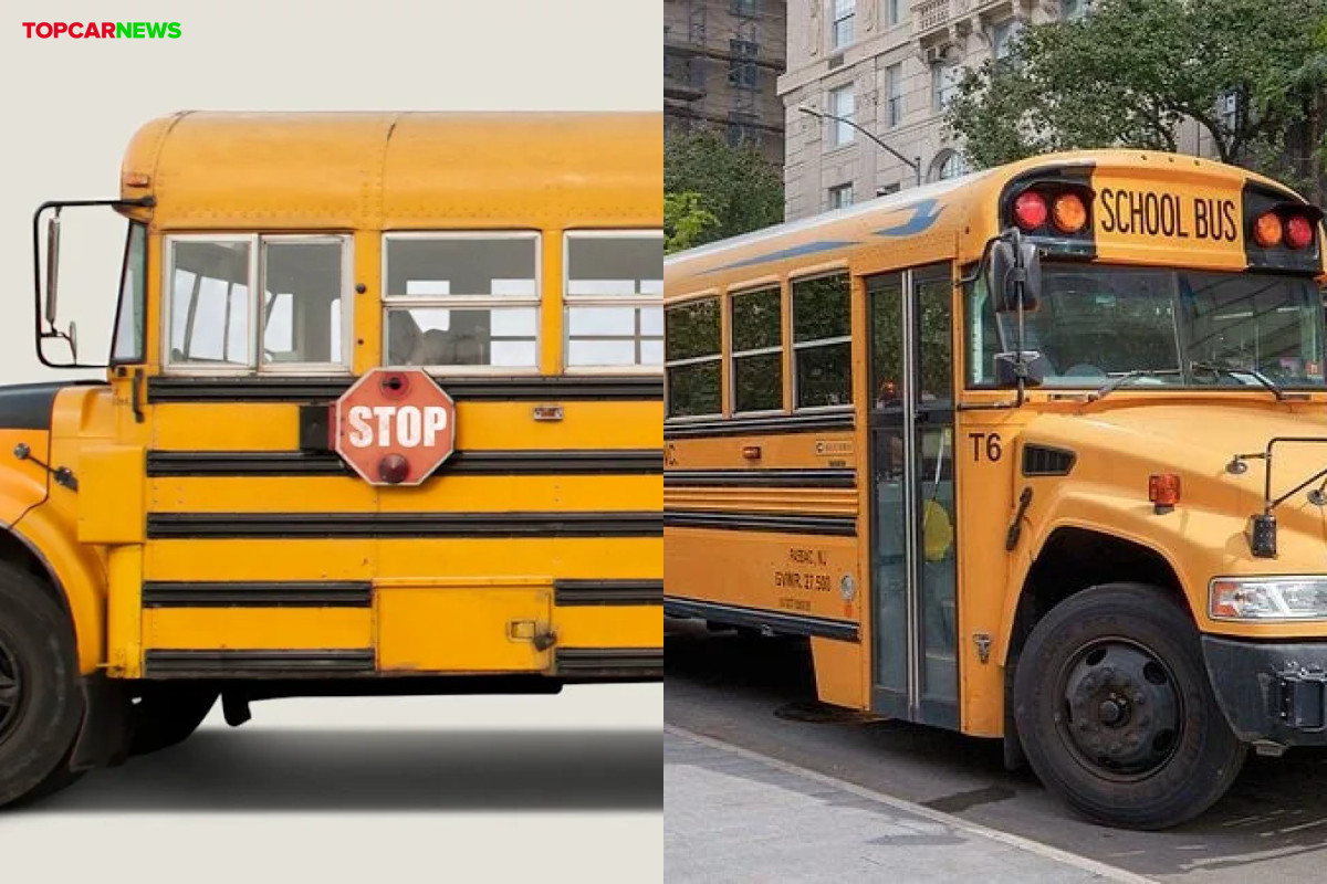 Ever Wondered About the Black Stripes on School Buses? Here's Why They're There
