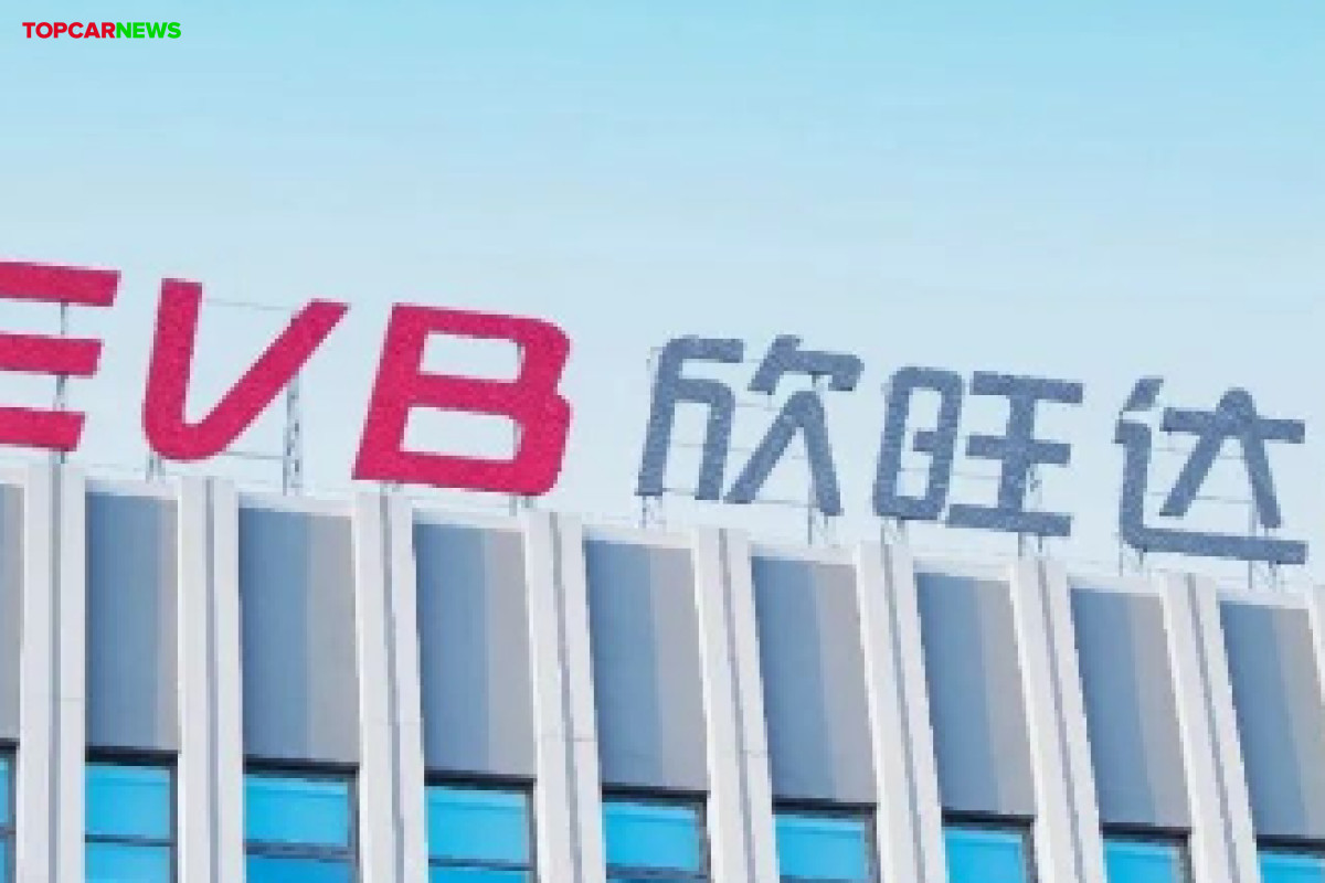 Li Auto to make strategic investment of 2.65 billion yuan in Sunwoda's subsidiary