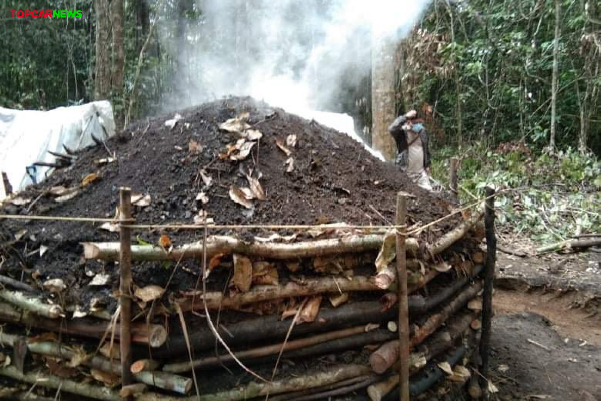CarbonPH Coalition Charts Roadmap for Philippine Forest Carbon in ASEAN