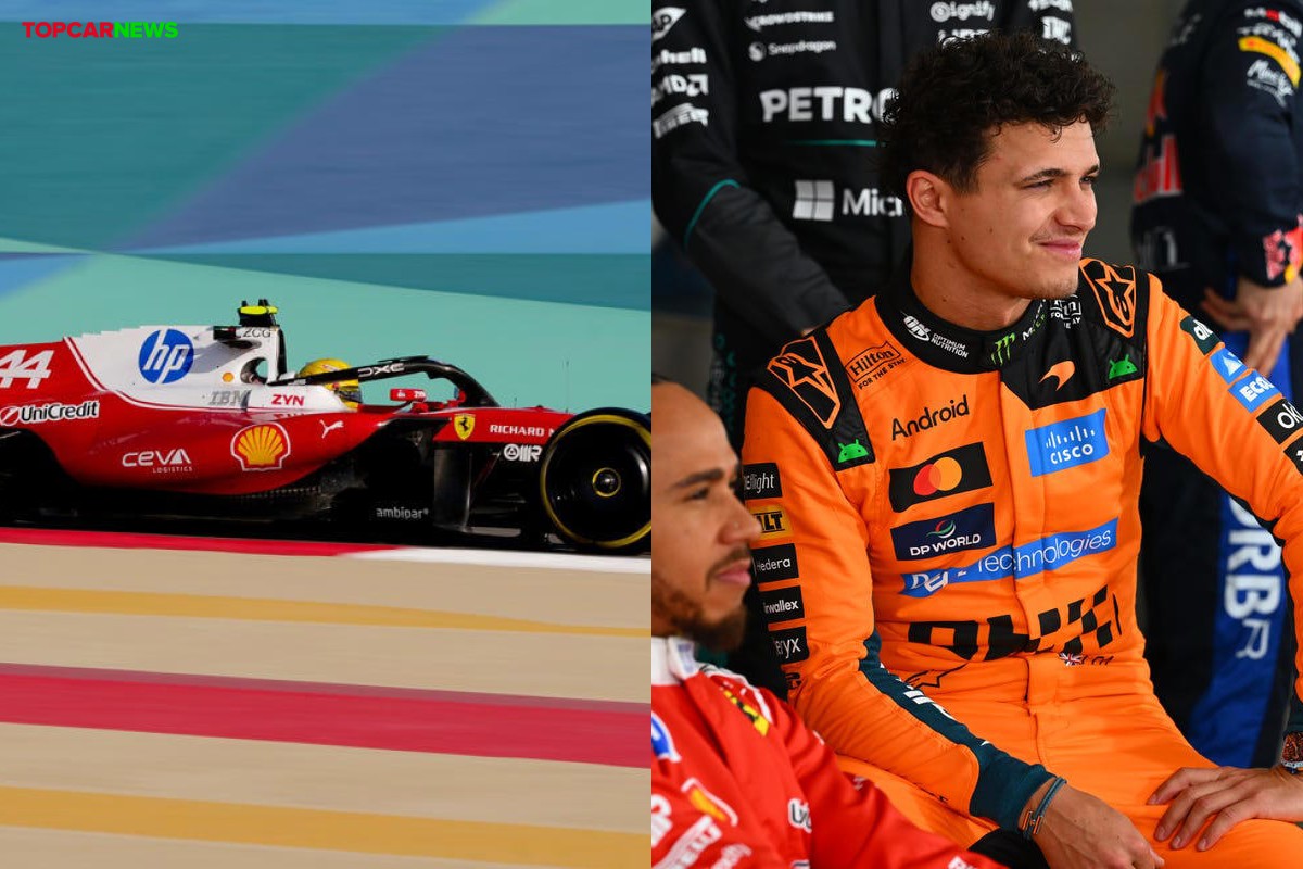 Alex Albon y su atrevida predicción sobre Lewis Hamilton y Ferrari F1 ...