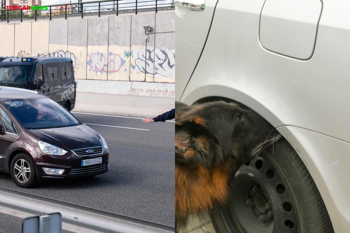 El compartimento del coche que puede hacer que la policía revise tu vehículo durante más de una hora
