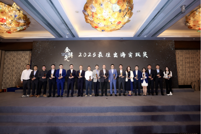 Gasgoo Awards 2025: Best Overseas Practice Award