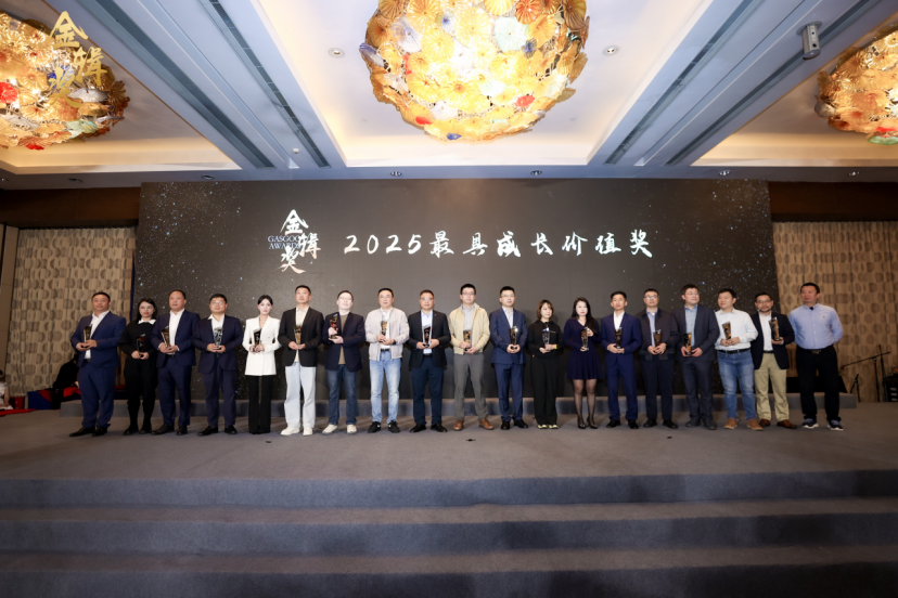 Gasgoo, Gasgoo Awards 2025: Most Growth Value Award