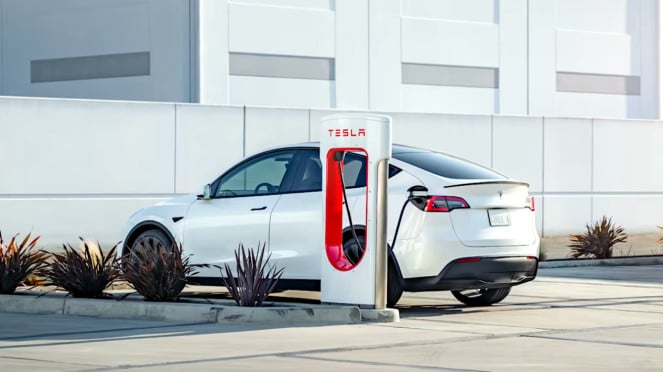 Laporan Mengerikan! Pintu Mobil Tesla Bisa Jadi Bahaya untuk Anak