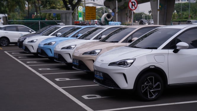 Nasib Neta di Ujung Tanduk