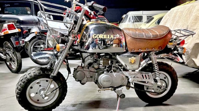 Deretan Motor Honda dengan Nama Primata yang Legendaris