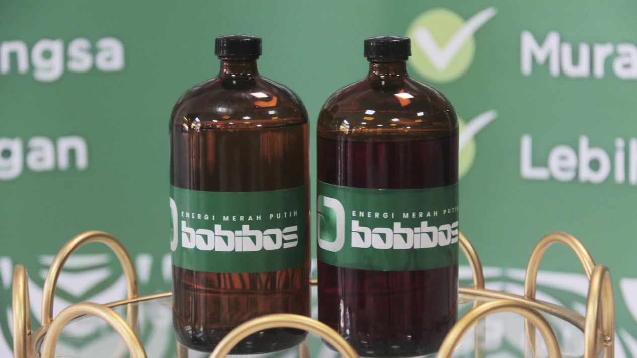 Bobibos Kembali Jadi Sorotan
