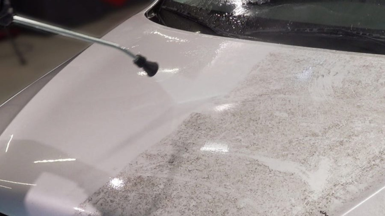 Tak Perlu Panik, Ini Cara Hilangkan Jamur di Bodi Mobil
