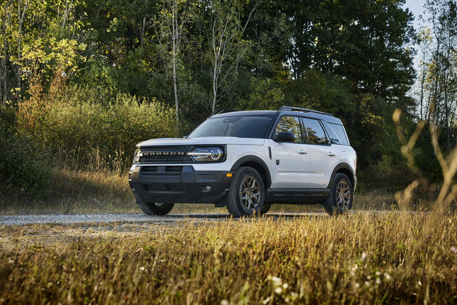 Ford Just Told 4,653 Owners To Park Their Mavericks And Bronco Sports