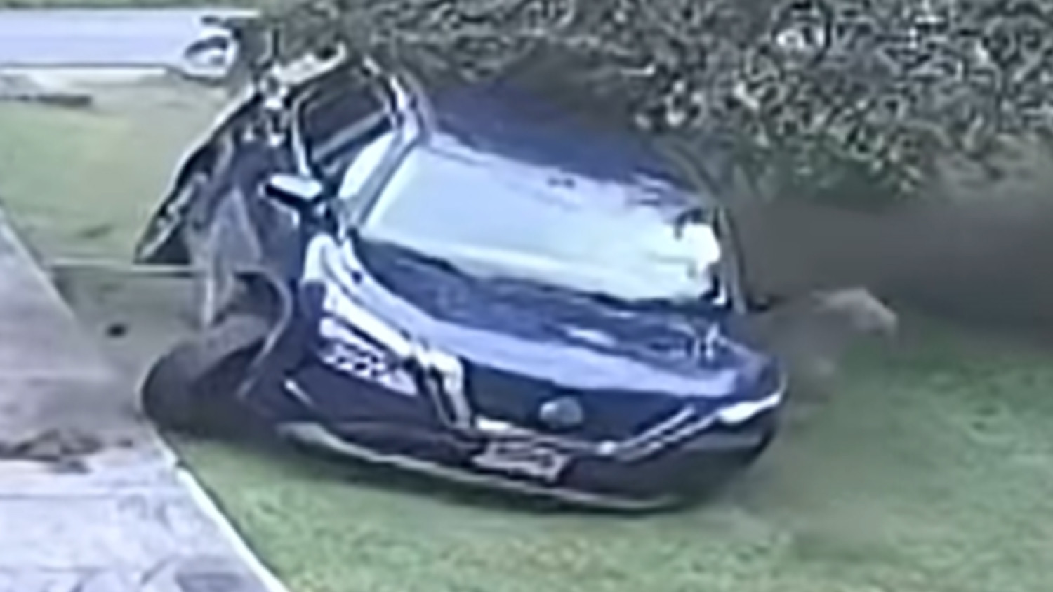 Nine Cars Have Crashed Into This Maryland Woman’s Front Yard In Two Years