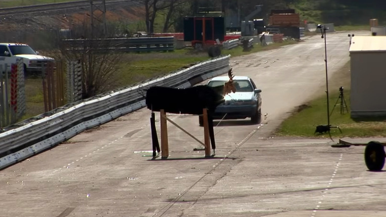 This 'MythBusters' Test Visualizes The Carnage Of A Moose Collision Without The Gore