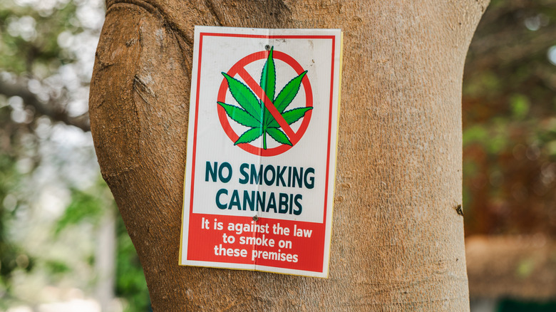 Medical Marijuana Is Off Limits To Truckers And Pilots Despite Trump Administration's Reclassification
