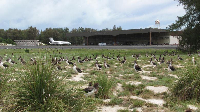 One Of The World's Most Remote Airports Is At Risk Of Closing, Jeopardizing Transpacific Flights