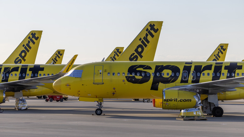 Airport Left With No Commercial Flights After Spirit Airlines Collapse