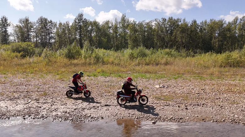 Getting Dirty With A Grom Is More Fun Than You Can Handle