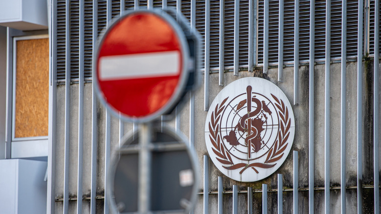 Hantavirus Outbreak On Luxury Antarctic Cruise Kills 3, Strands Nearly 150 Without Aid