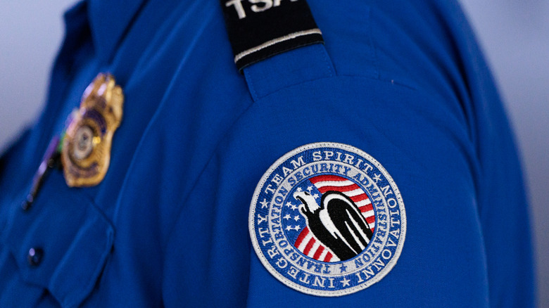 Hartsfield-Jackson Might Replace TSA With Private Security After Shutdown Walkouts