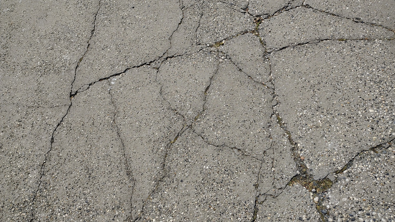 How To Fix Unsightly Concrete Cracks Like A DIY Master