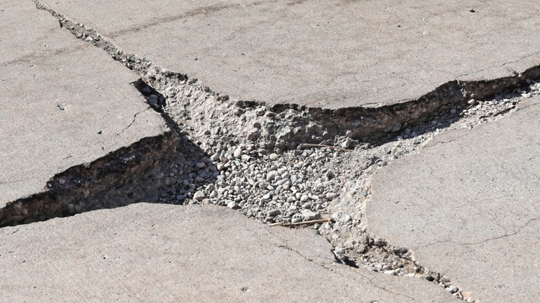 How To Know When It's Time To Repair Vs Replace Your Concrete Driveway