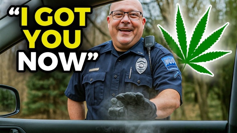 How To Respond If A Cop Pulls You Over And Claims They Smell Weed, According To A Lawyer