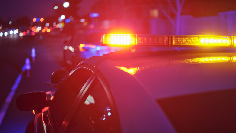 ICE Sets New Limits On Car Chases And Vehicle Stops, Which They'll Certainly Follow At All Times