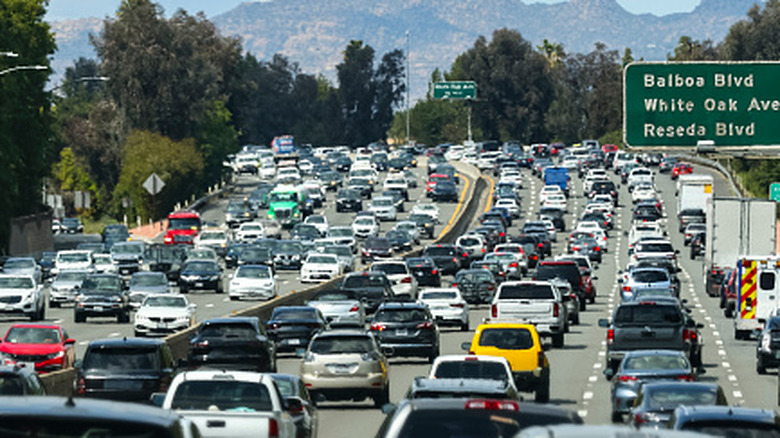 Listening To Birdsongs Can Boost Your Mood, But The Effects Are Undone By Traffic Noise