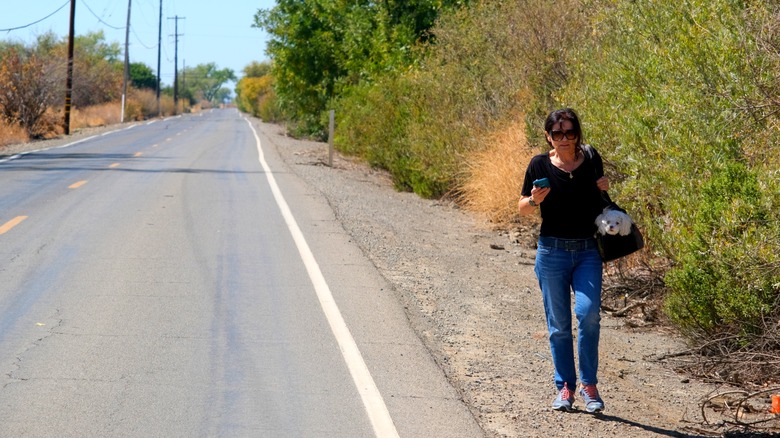 Pedestrian Deaths Have Dropped For A Depressing Reason