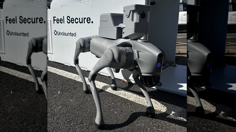 Robot Dogs Corner Car Break-In Suspect In Apartment Trash Compactor