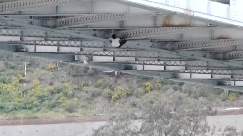 Suspected Car Thief Spider-Mans Through Underside Of Bridge Trying To Escape Police