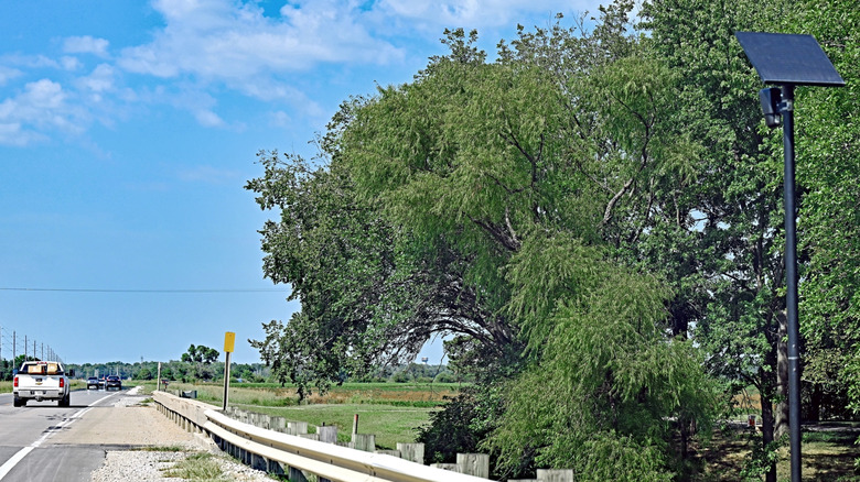 The Staggering Number Of Flock Cameras That Dot US Highways