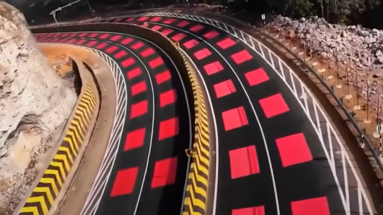 This Striped Road Design Helps India Slow Traffic And Protect Wildlife