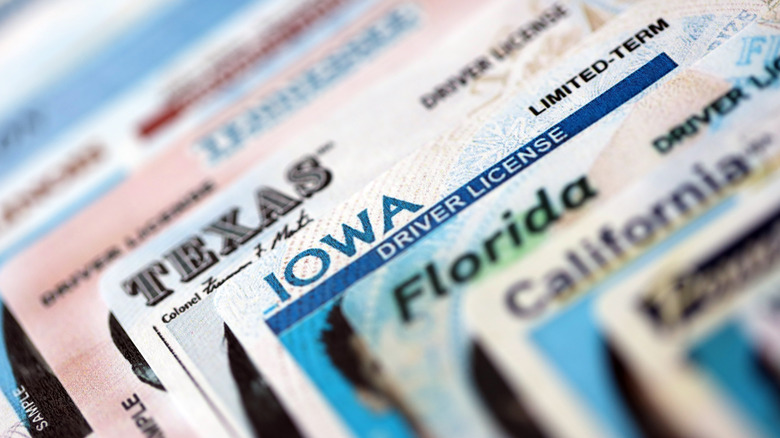 What Are Enhanced Driver's Licenses (EDLs) And When Might You Need One?