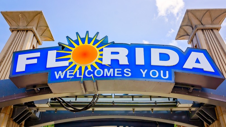 Why Does Florida Man Always Find Himself Behind The Wheel Of Pure Chaos?