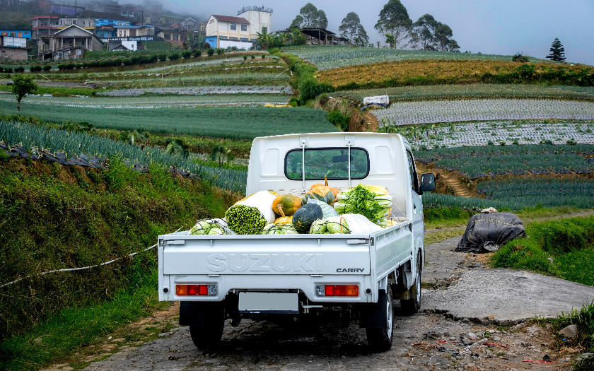 Suzuki New Carry, Jadi Tulang Punggung UMKM dan Program Nasional