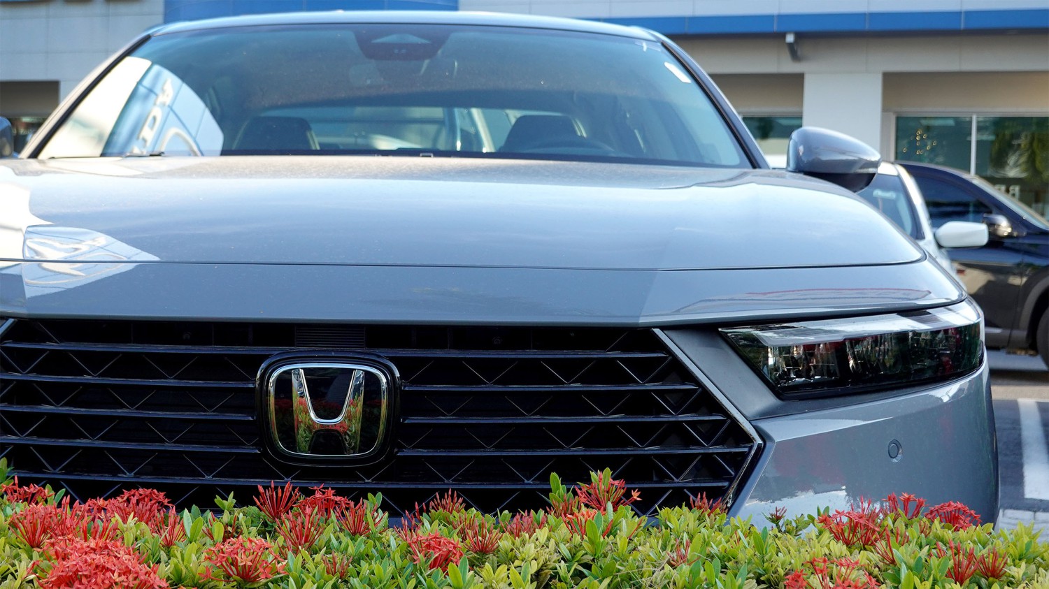 Honda, Honda Just Delayed a Bunch of New Models, Report Says: TDS