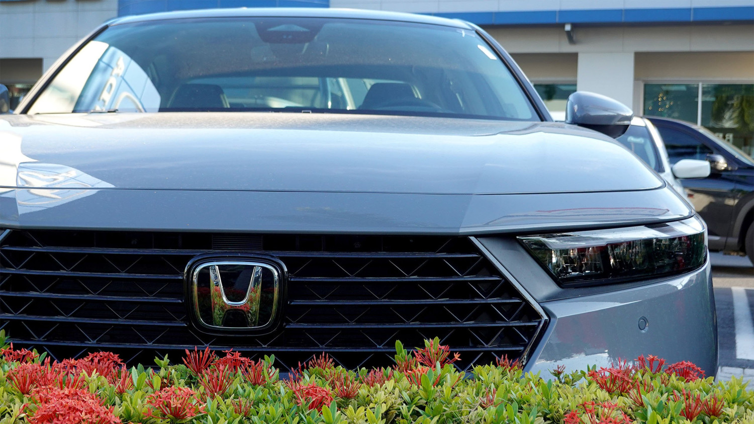 Honda Just Delayed a Bunch of New Models, Report Says: TDS