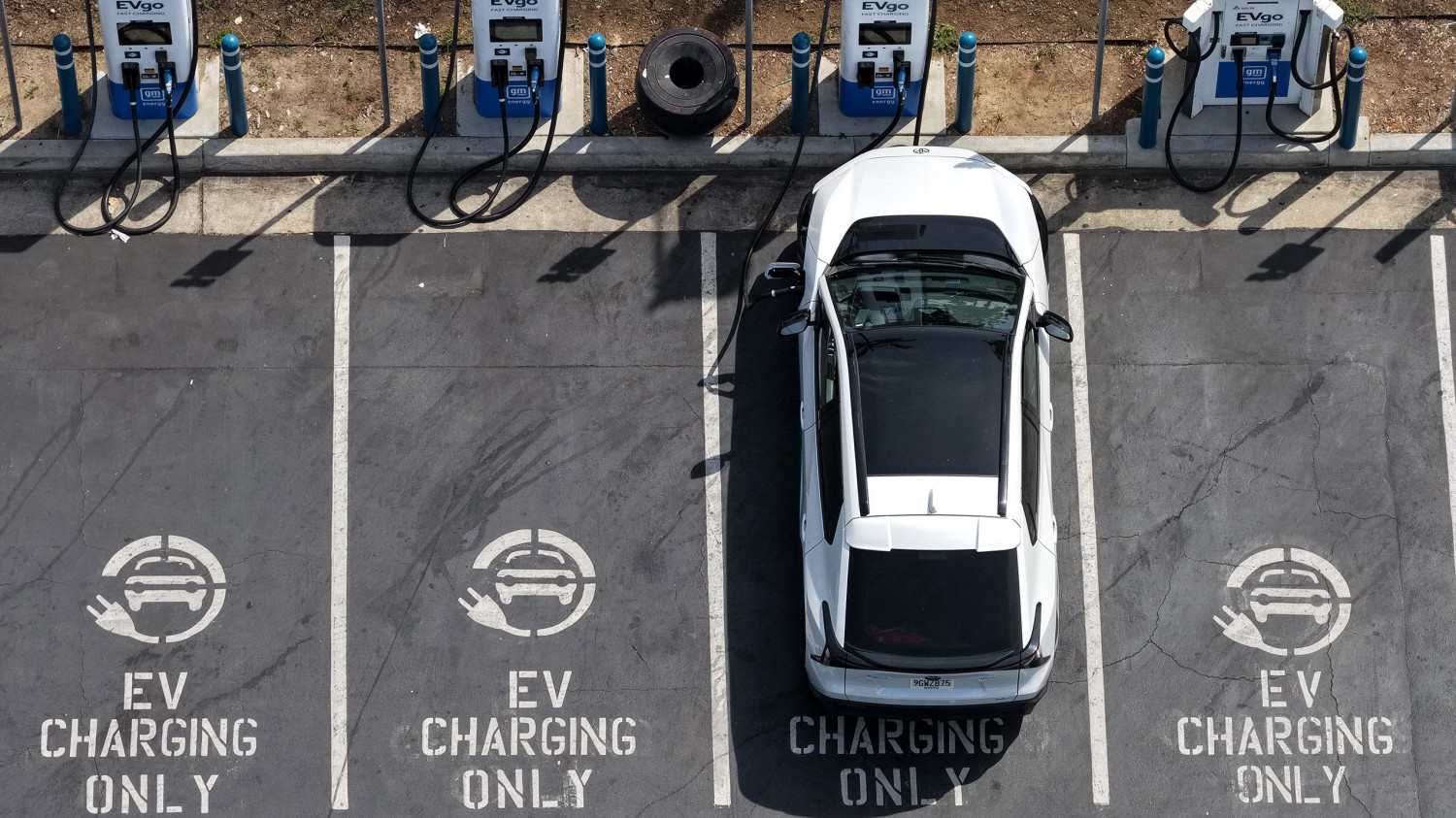 Global EV Sales Are Still Rising, Even Without America’s Help: TDS