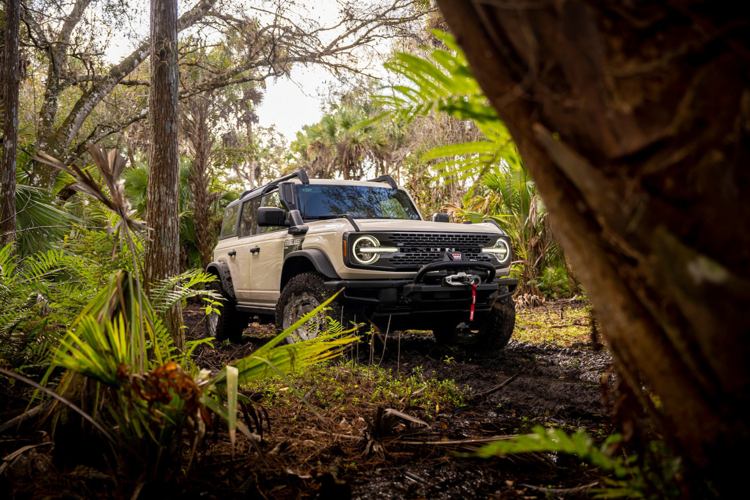 Ford, Ford Bronco, Jeep, Jeep Wrangler, Record Q2 Sales Put Ford Bronco in Striking Distance of Jeep Wrangler