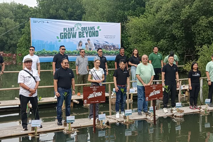 Komunitas BYD Tanam 500 Pohon Magrove, Bantu Kurangi Emisi