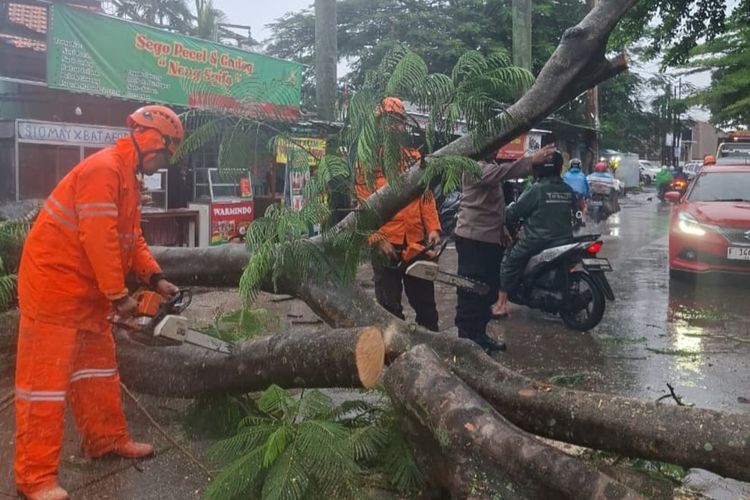 Mobil Tertiban Pohon Tumbang, Bisa Klaim Asuransi?