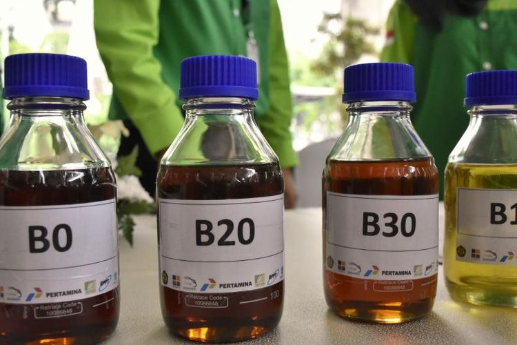 Bahlil Targetkan Bebas Impor Solar 2026 Melalui Program B50