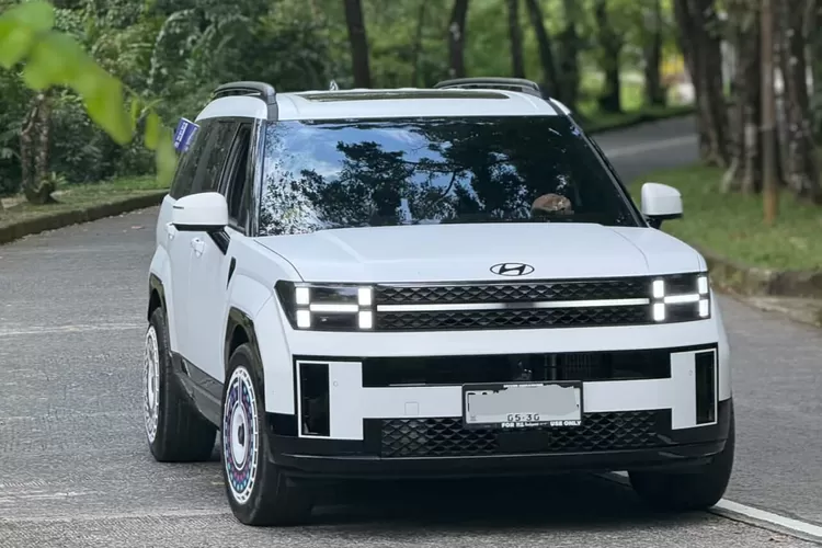 Berapa Biaya Kepemilikan Hyundai Santa Fe Hybrid? Ini Kata Pemilik