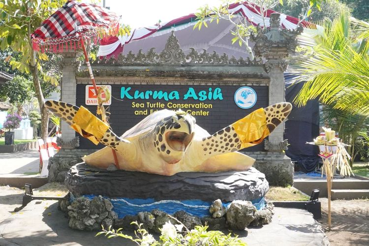 Daihatsu Perkuat Komitmen Keberlanjutan Melalui Konservasi Penyu