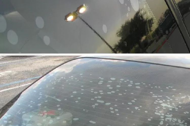 Jangan Sepelekan Lumpur Banjir, Bisa Merusak Kaca Film dari Dalam