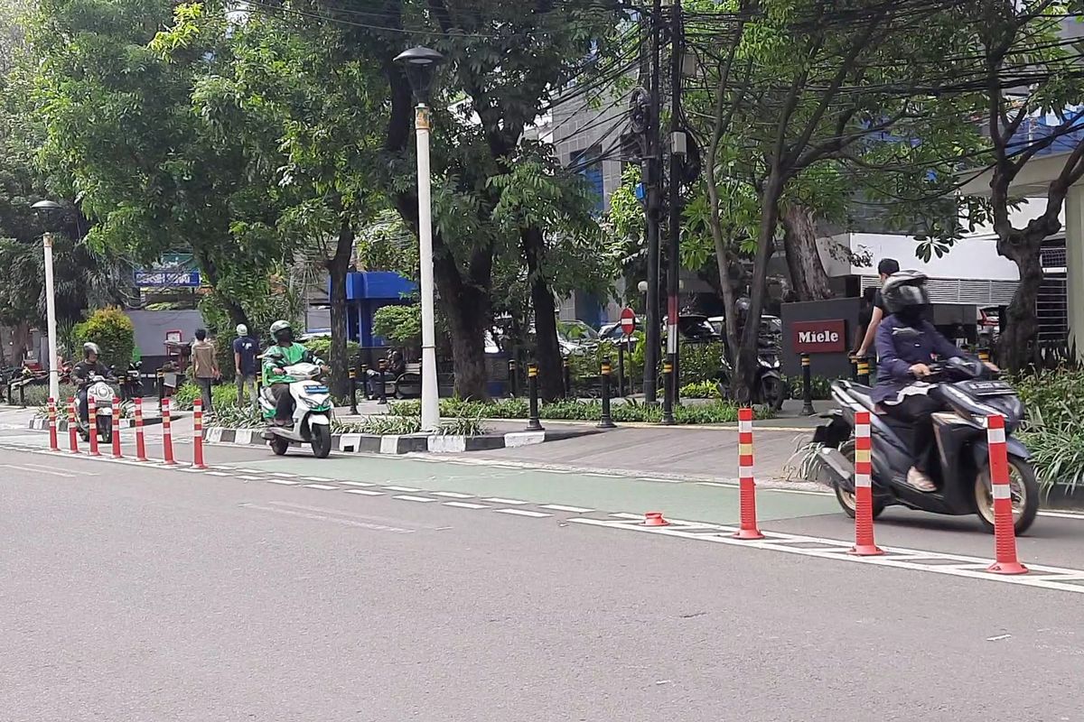 Hadang Motor di Jalur Sepeda, Aksi Perempuan di Sudirman Tuai Dukungan